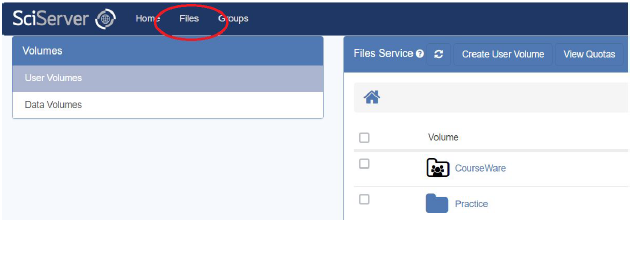 Screenshot of the SciServer Dashboard with the Files link circled